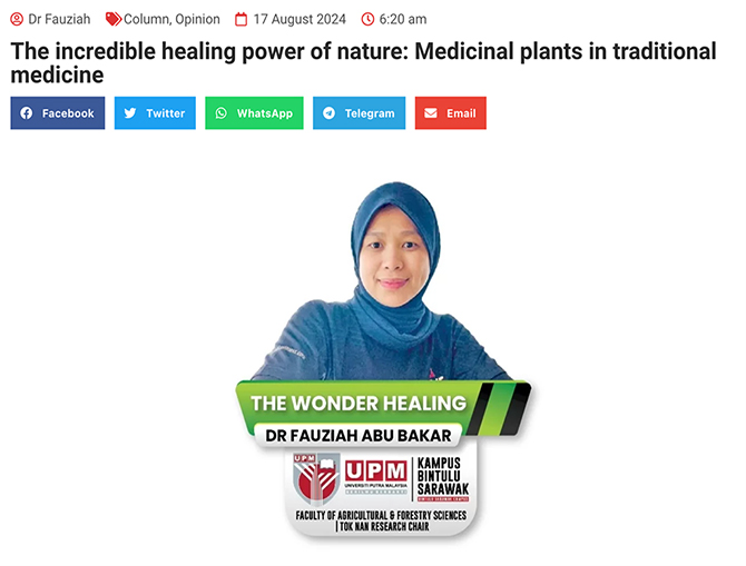 The incredible healing power of nature: Medicinal plants in traditional medicine